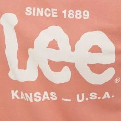 Ανδρικά Χωρίς φερμουάρ Βαμβακερή μπλούζα Lee πορτοκαλί, 13 Ανδρικά Χωρίς φερμουάρ Βαμβακερή μπλούζα Lee πορτοκαλί, -Lee Κατάστημα unnamed file 1058